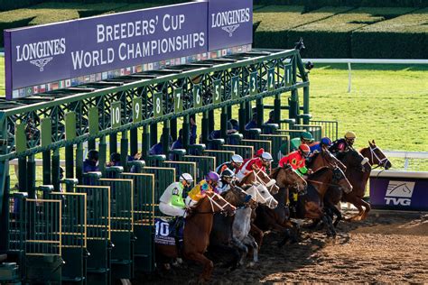 breeders cup betting challenge - Breeders' Cup Betting Challenge